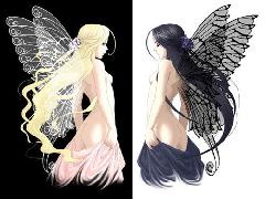 l'ange et le diable se compare